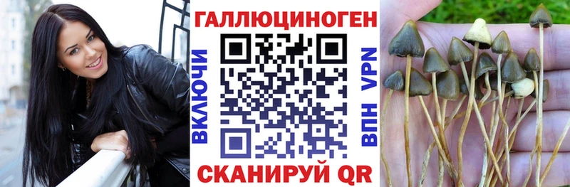 Галлюциногенные грибы мицелий  хочу   KRAKEN рабочий сайт  Губаха 